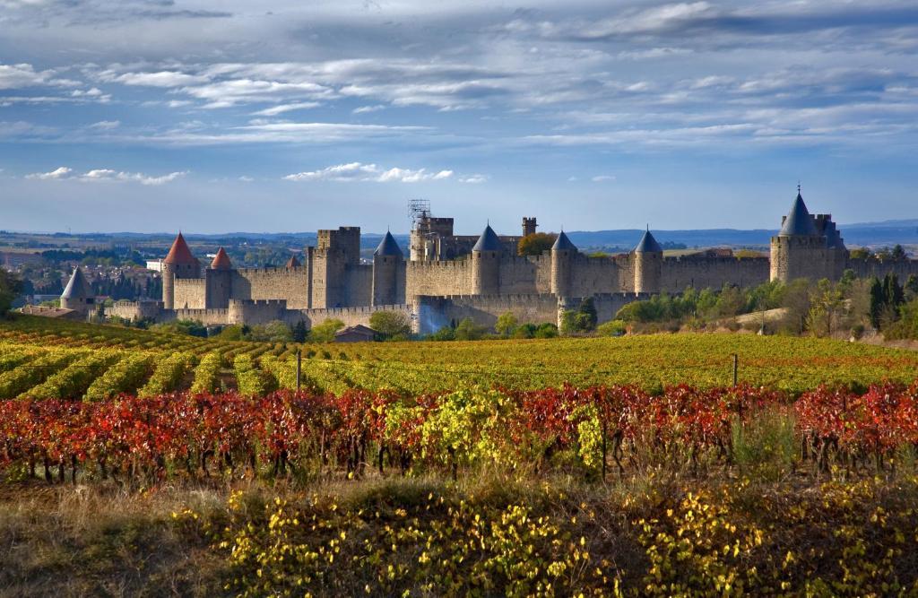 Bed & Breakfast Demeure Du Pareur Villeneuve-Minervois 외부 사진